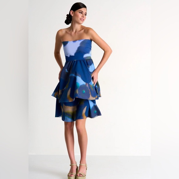 NWT Shan Canada Serena Silk Multicolor Strapless Dress tiered excellent Size 6 - Picture 8 of 10